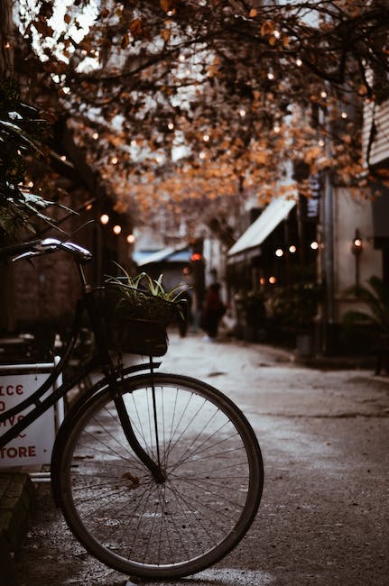 Opgrader din cykeloplevelse med en Christiania cykel